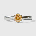 Anillo Miele