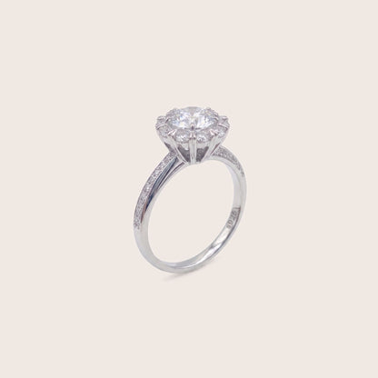 Anillo Aurora