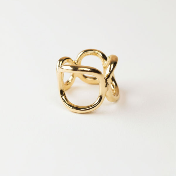 Anillo Órbita