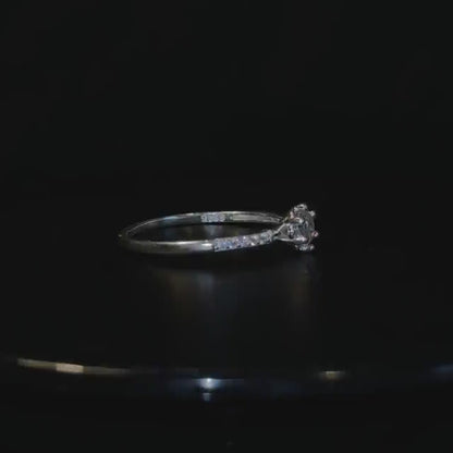 Anillo Lucciola