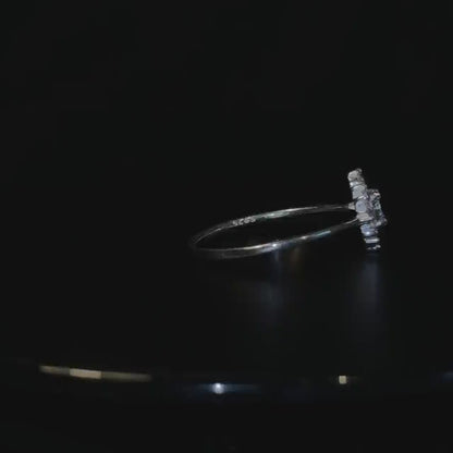 Anillo Bussola